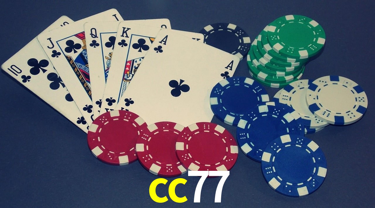 Live Casino cc77